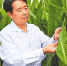 马忠明委员：积极推动河西走廊玉米制种基地建设 - 人民网