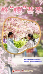娴锋姤|鏄ヨ壊鐑傛极锛屼竴缁勬捣鎶モ滀簯璧忊濇ū鑺辩洓寮 - 中国甘肃网